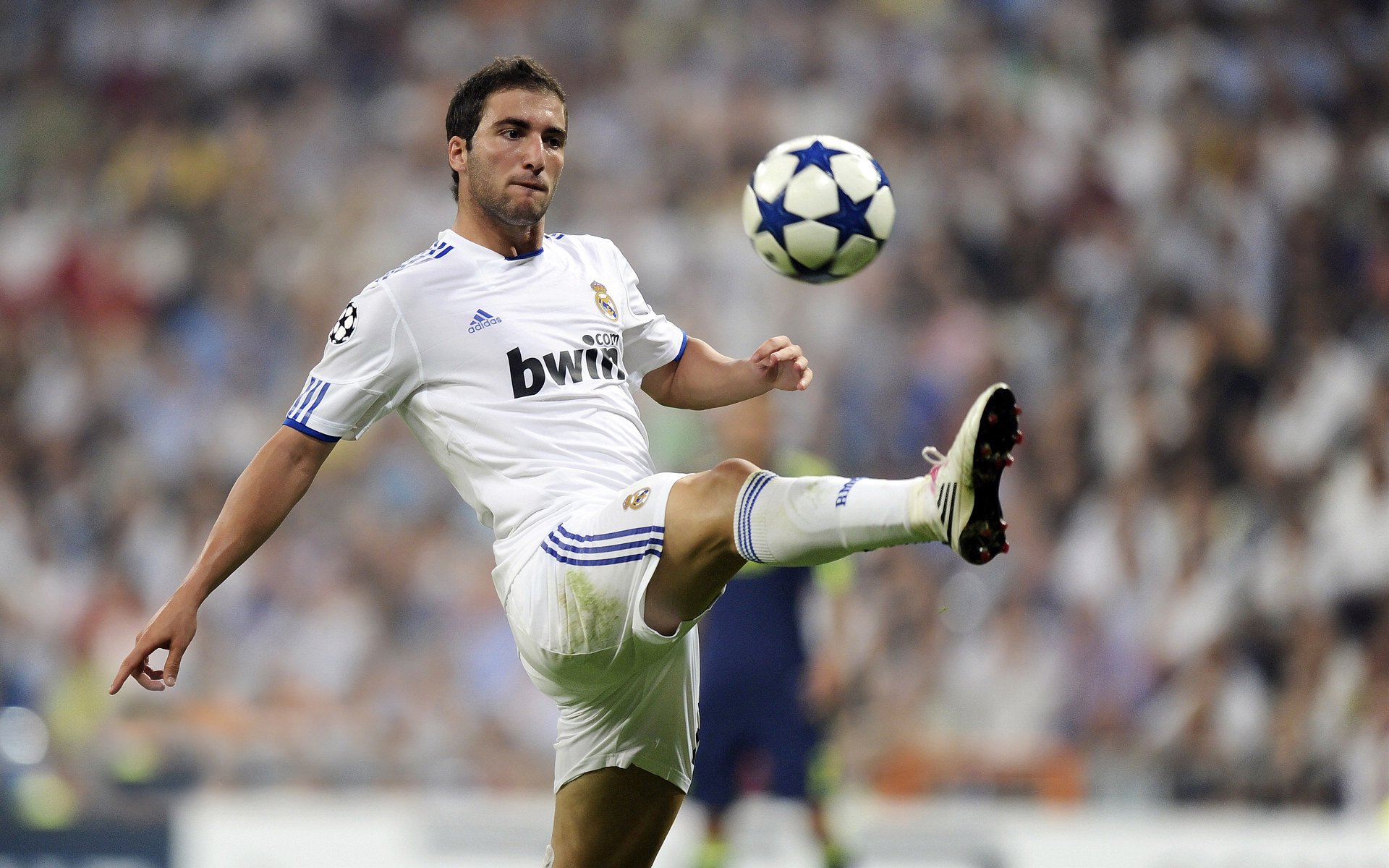 意大利队防守体系恢复稳固,重拾冠军信念,意大利队防守反击